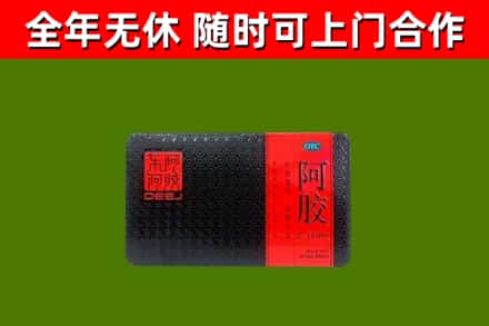 新建区回收阿胶