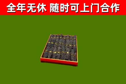 新建区回收海参